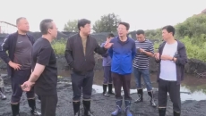 AG�ֻ��������(����)��ҳ���