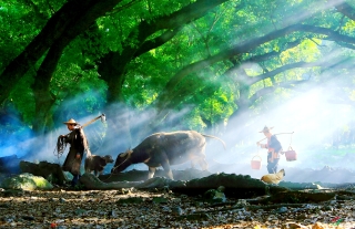 ���¾�����ͼ