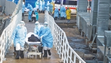 AG�ֻ��������(����)��ҳ���