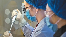 AG�ֻ��������(����)��ҳ���