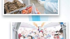 AG�ֻ��������(����)��ҳ���