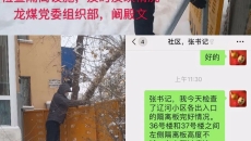 AG�ֻ��������(����)��ҳ���