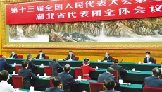 AG�ֻ��������(����)��ҳ���