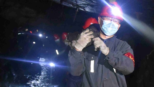 20200628  04  �½���  ͼΪ����ص�ԱЭ��������������֧���� ��̳���_����