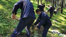 AG�ֻ��������(����)��ҳ���