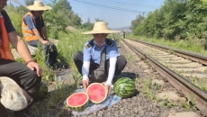 AG�ֻ��������(����)��ҳ���