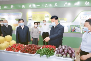 AG�ֻ��������(����)��ҳ���