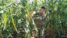 AG�ֻ��������(����)��ҳ���