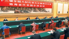 AG�ֻ��������(����)��ҳ���