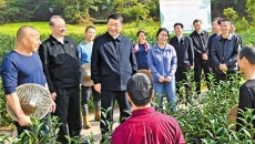 AG�ֻ��������(����)��ҳ���