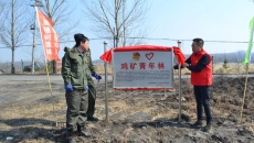 AG�ֻ��������(����)��ҳ���