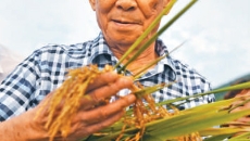 AG�ֻ��������(����)��ҳ���