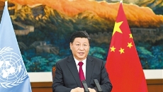 AG�ֻ��������(����)��ҳ���