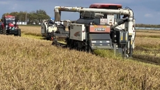 AG�ֻ��������(����)��ҳ���