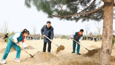 AG�ֻ��������(����)��ҳ���