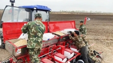 AG�ֻ��������(����)��ҳ���