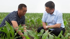 AG�ֻ��������(����)��ҳ���