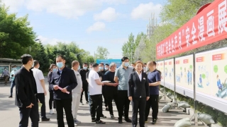 �徲������9