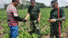 AG�ֻ��������(����)��ҳ���