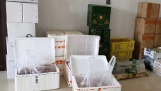 AG�ֻ��������(����)��ҳ���