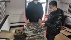 AG�ֻ��������(����)��ҳ���