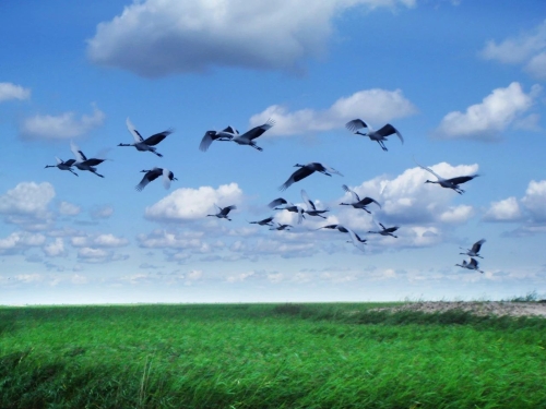 ΢��ͼƬ_20230409181002