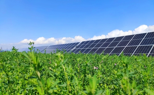 ΢��ͼƬ_20230727231338