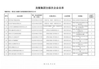 ȫ������ҵ���� (13)