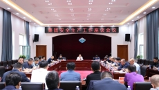 AG�ֻ��������(����)��ҳ���