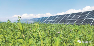 ΢��ͼƬ_20231016204639