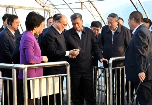 ΢��ͼƬ_20231016205439