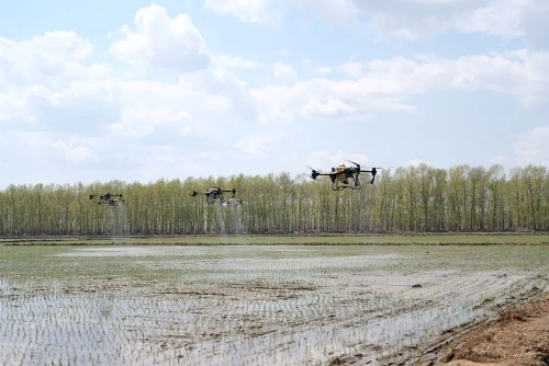 ΢��ͼƬ_20231017221352