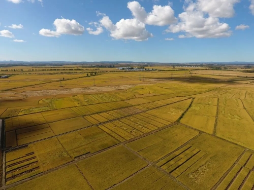 ΢��ͼƬ_20231017221405