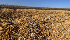 AG�ֻ��������(����)��ҳ���