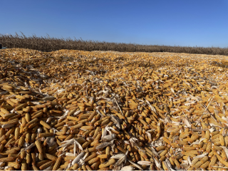 ΢��ͼƬ_20231030075311