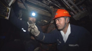 ΢��ͼƬ_20231031222456