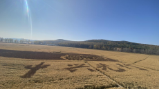 AG�ֻ��������(����)��ҳ���