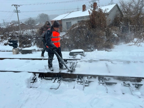 ΢��ͼƬ_20231107123102