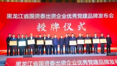 AG�ֻ��������(����)��ҳ���