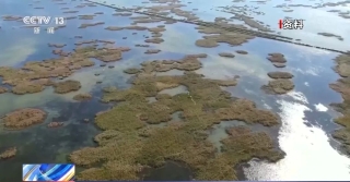 ΢��ͼƬ_20231230185232