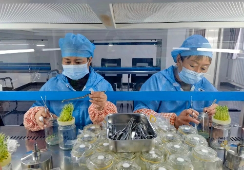 ΢��ͼƬ_20240208181201