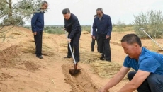 AG�ֻ��������(����)��ҳ���