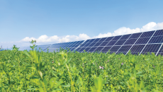 AG�ֻ��������(����)��ҳ���