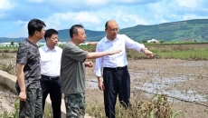 AG�ֻ��������(����)��ҳ���