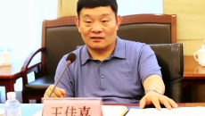 AG�ֻ��������(����)��ҳ���