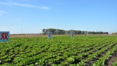 AG�ֻ��������(����)��ҳ���