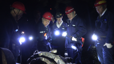 AG�ֻ��������(����)��ҳ���