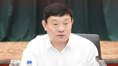 AG�ֻ��������(����)��ҳ���