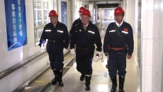 AG�ֻ��������(����)��ҳ���