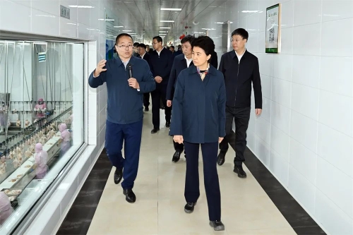 ΢��ͼƬ_20241008201641